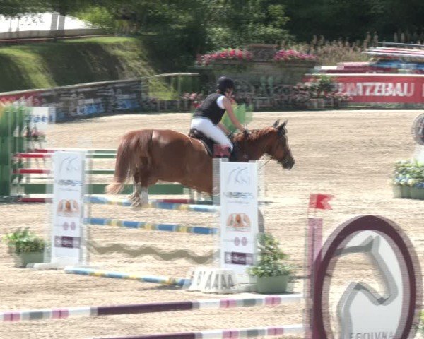 Reitturnier Lassee 2025