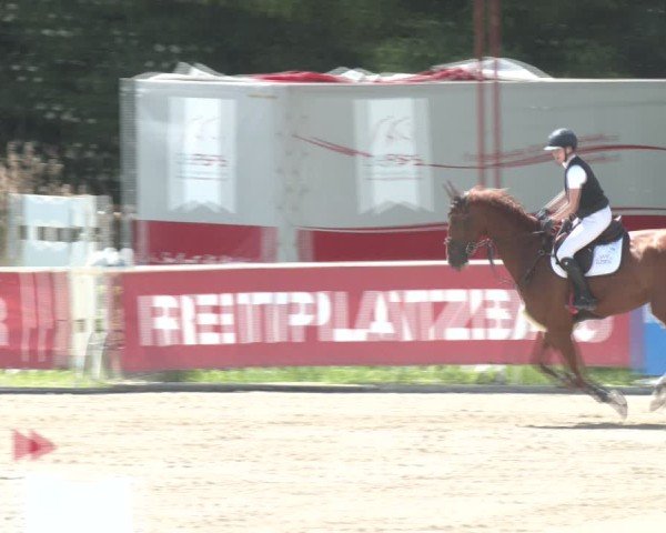 Reitturnier Lassee 2025