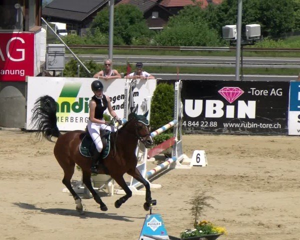 Reitturnier Wädenswil 2025