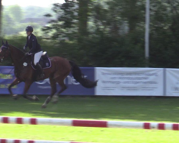 Reitturnier Scharnebeck 2025
