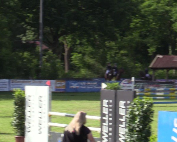 Reitturnier Scharnebeck 2025