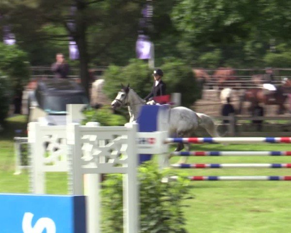 Reitturnier Scharnebeck 2025