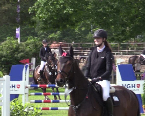 Reitturnier Scharnebeck 2025