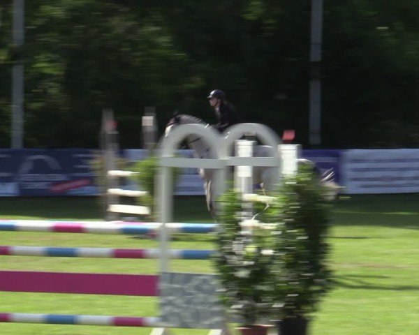 Reitturnier Scharnebeck 2025