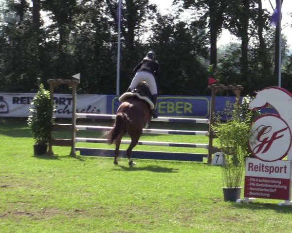 Reitturnier Scharnebeck 2025