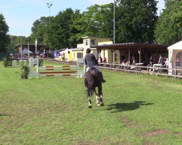 Reitturnier Scharnebeck 2025