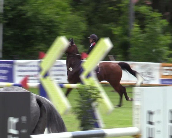 Reitturnier Scharnebeck 2025