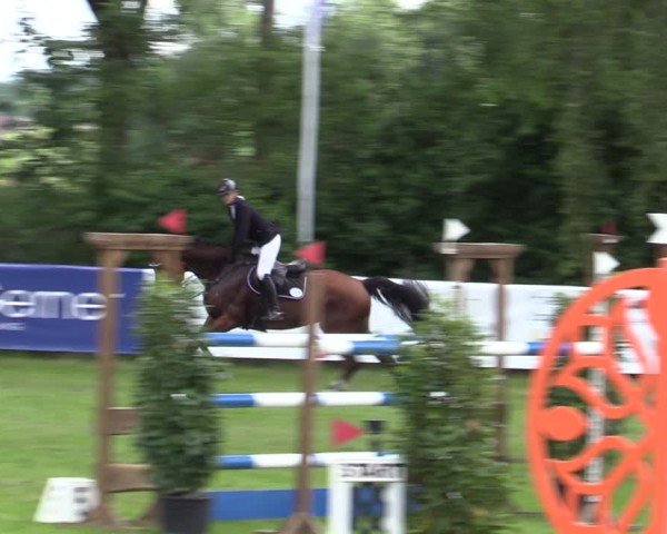 Reitturnier Scharnebeck 2025