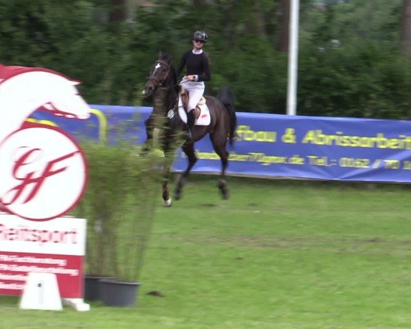 Reitturnier Scharnebeck 2025