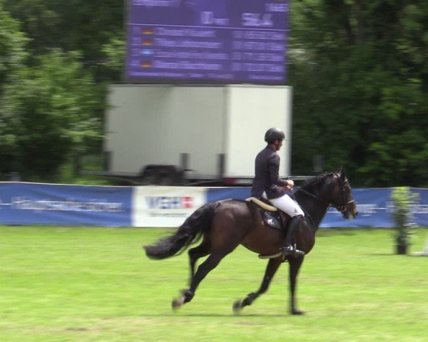 Reitturnier Scharnebeck 2025