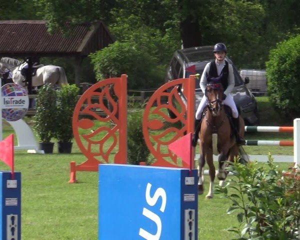 Reitturnier Scharnebeck 2025