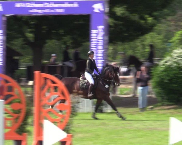Reitturnier Scharnebeck 2025
