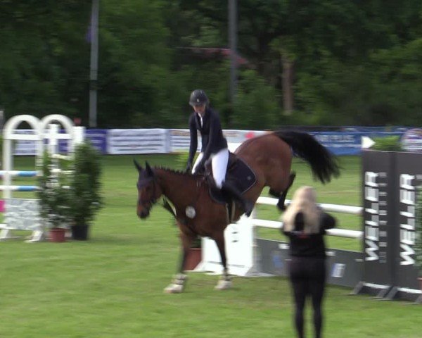 Reitturnier Scharnebeck 2025