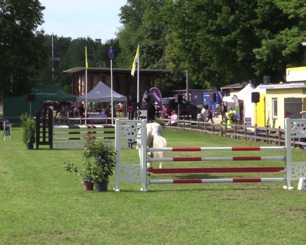 Reitturnier Scharnebeck 2025