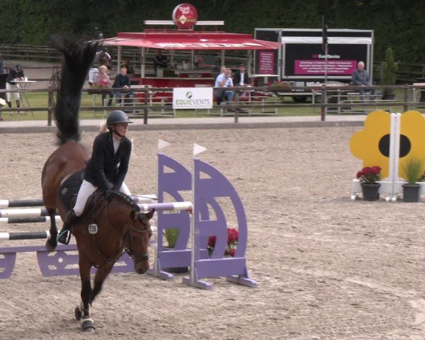 Reitturnier Klein Roscharden 2025