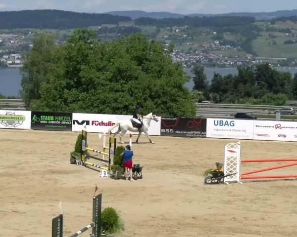 Reitturnier Wädenswil 2025