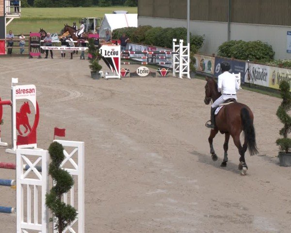 Reitturnier Kirchhellen/Stall Dieckmann 2025