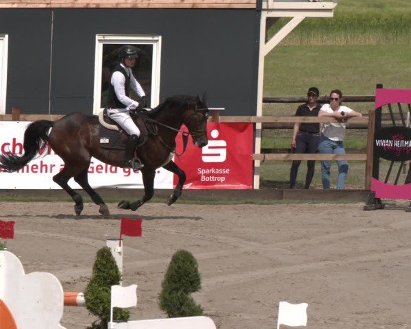 Reitturnier Kirchhellen/Stall Dieckmann 2025