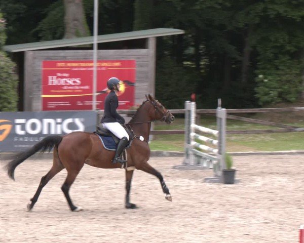 Reitturnier Klein Roscharden 2025