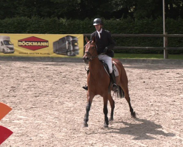 Reitturnier Klein Roscharden 2025