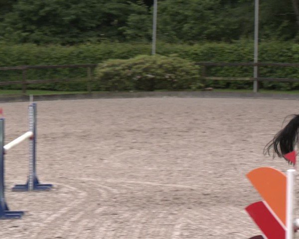 Reitturnier Klein Roscharden 2025