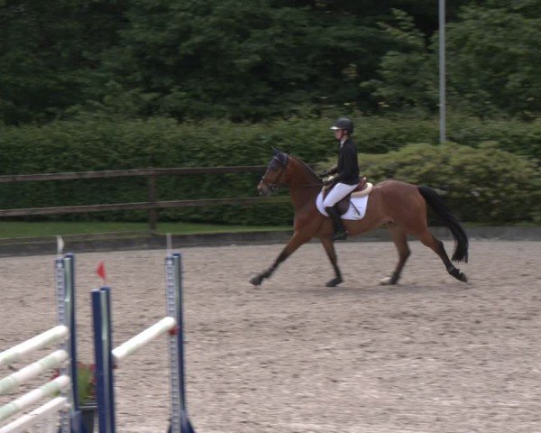 Reitturnier Klein Roscharden 2025