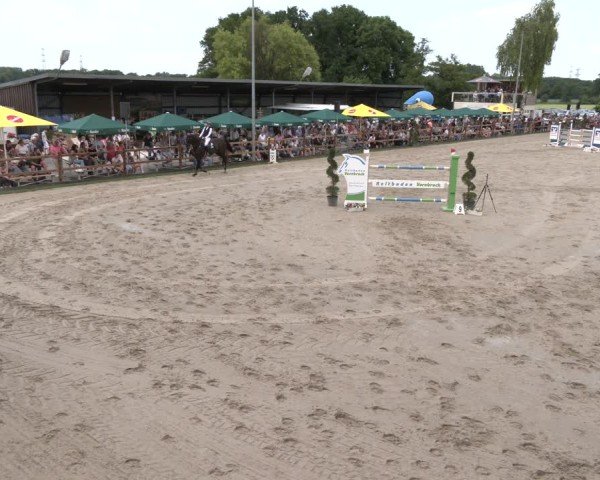 Reitturnier Kirchhellen/Stall Dieckmann 2025