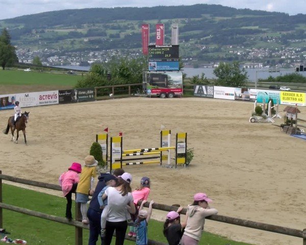 Reitturnier Wädenswil 2025