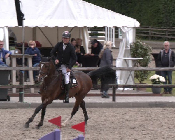 Reitturnier Klein Roscharden 2025