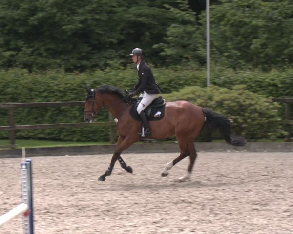Reitturnier Klein Roscharden 2025