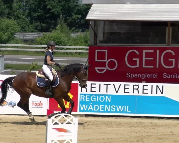 Reitturnier Wädenswil 2025