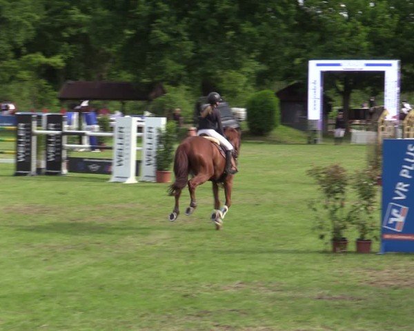 Reitturnier Scharnebeck 2025