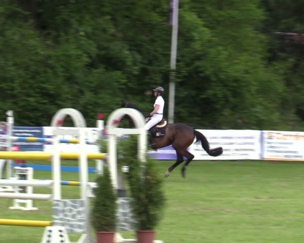 Reitturnier Scharnebeck 2025