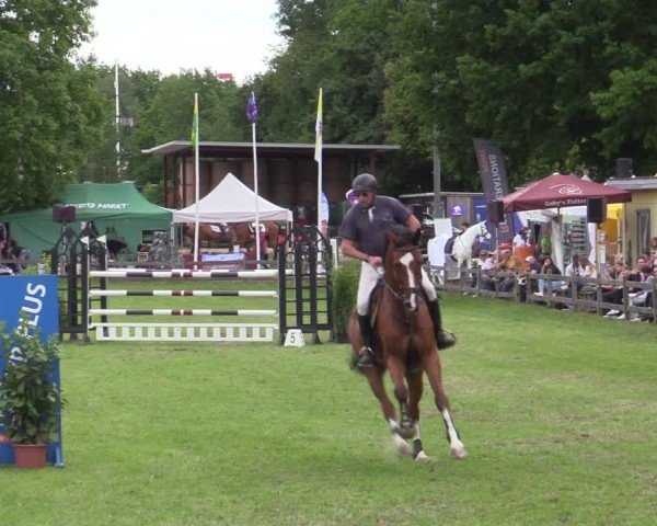 Reitturnier Scharnebeck 2025