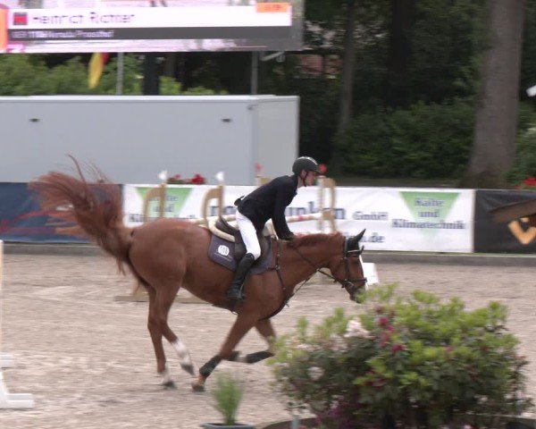 Reitturnier Klein Roscharden 2025