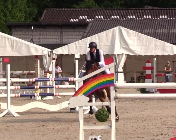 Reitturnier Kropp 2025