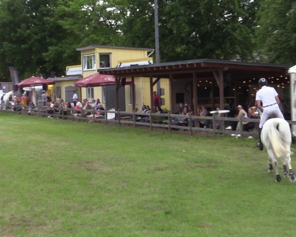 Reitturnier Scharnebeck 2025