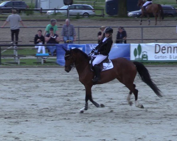 Reitturnier Hamm-Rhynern 2025