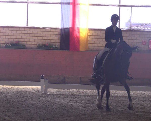 Reitturnier Hellefeld 2025
