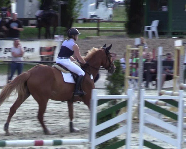 Reitturnier Hamm-Rhynern 2025