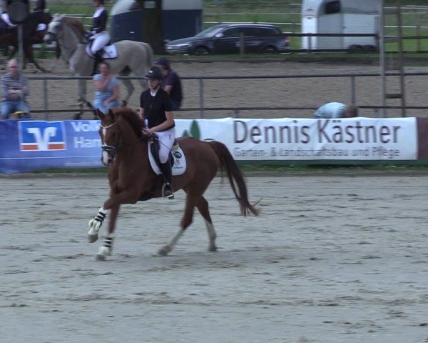 Reitturnier Hamm-Rhynern 2025