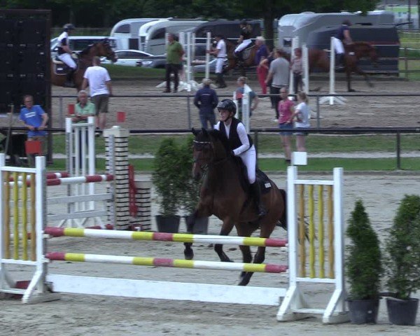 Reitturnier Hamm-Rhynern 2025