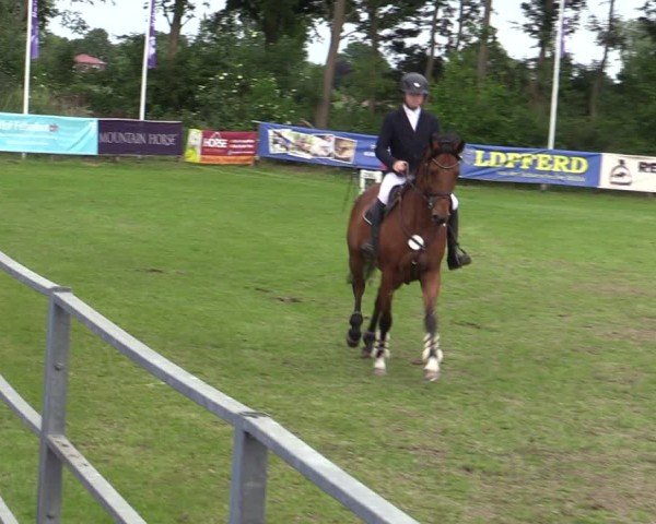 Reitturnier Scharnebeck 2025