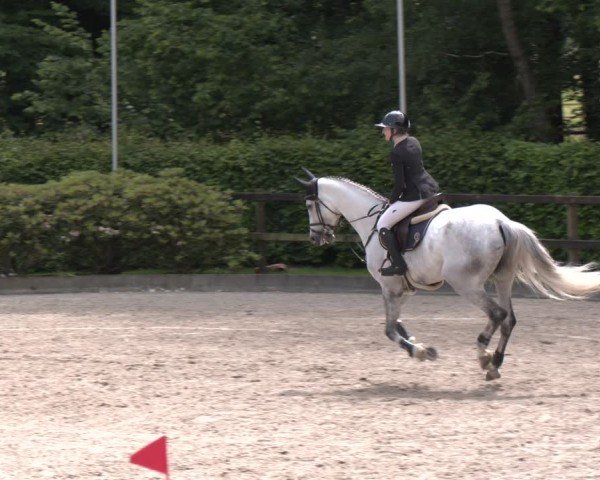 Reitturnier Klein Roscharden 2025