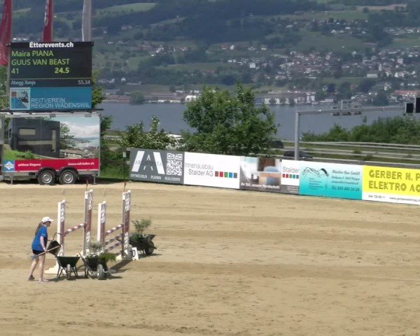 Reitturnier Wädenswil 2025