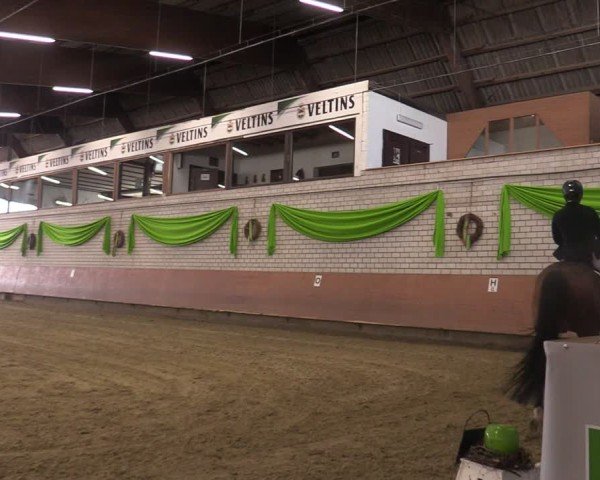 Reitturnier Hellefeld 2025