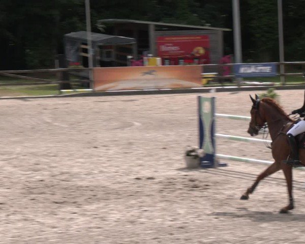 Reitturnier Klein Roscharden 2025