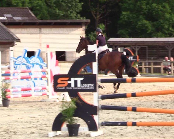 Reitturnier Kropp 2025