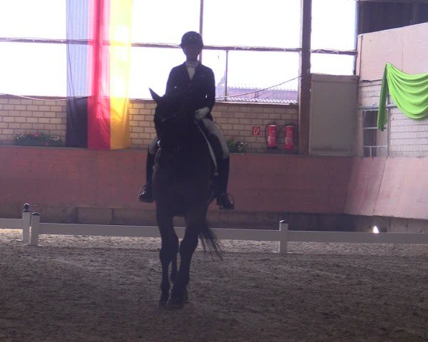 Reitturnier Hellefeld 2025
