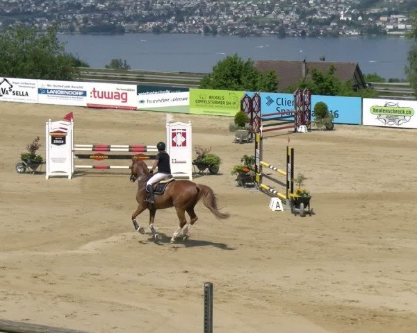Reitturnier Wädenswil 2025